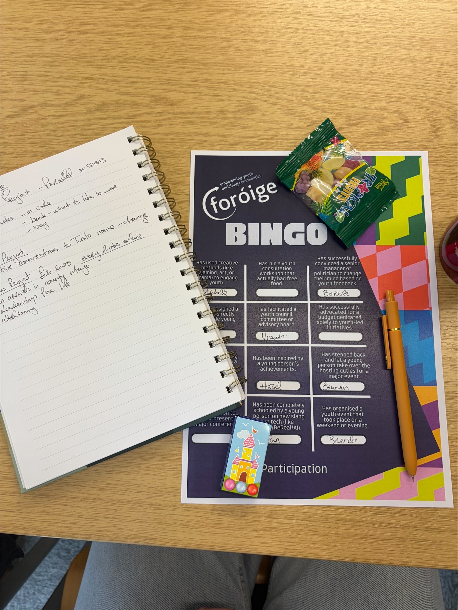 An image of our Bingo game